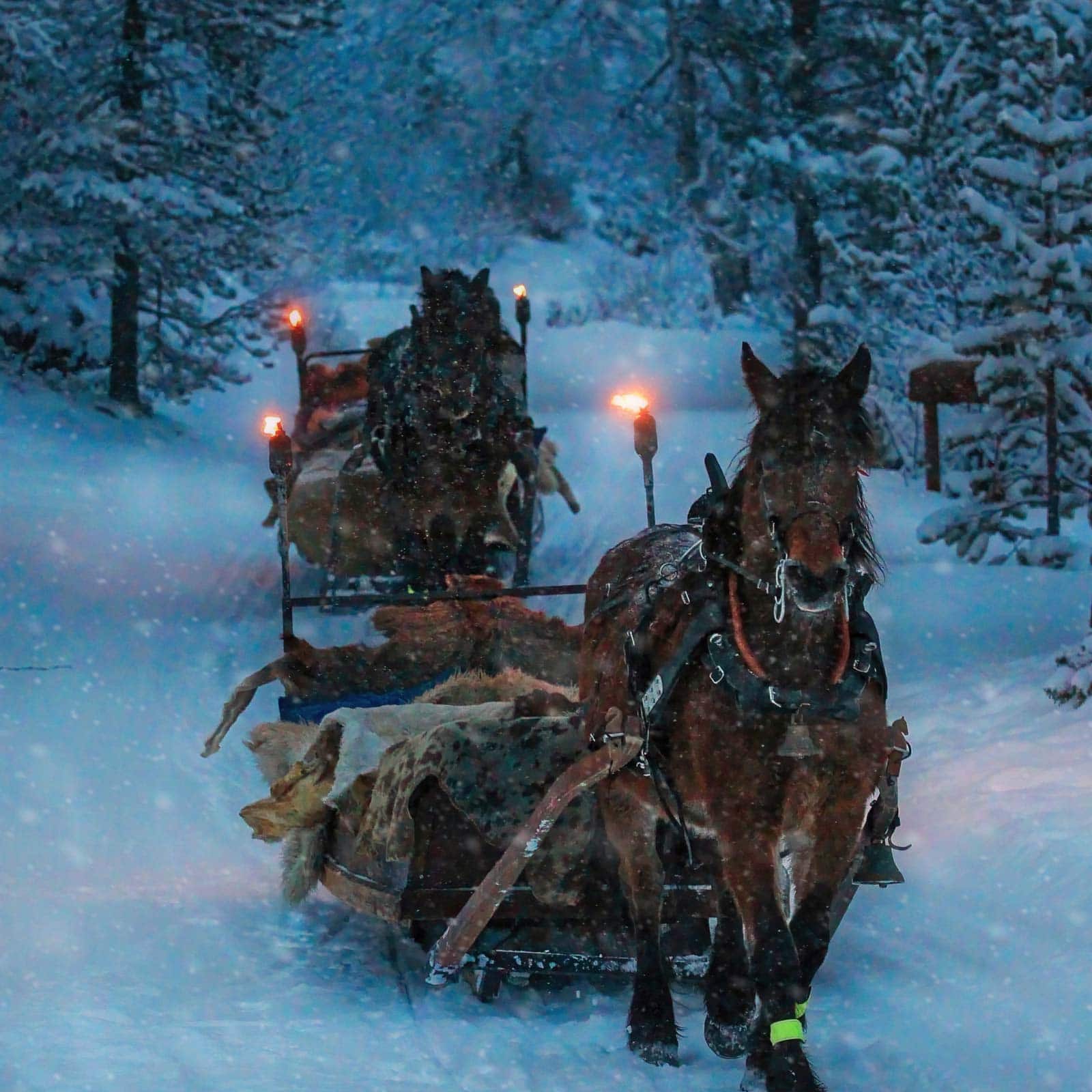 Savalen-kanefart-vinter-idyll-2-1600 Savalen, kanefart, Julebord, hygge, helg, weekend, stemning, tradisjon, eventyrlig, vinter, familie